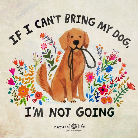 Meet your Posher, Kris - Picture 5 of 6